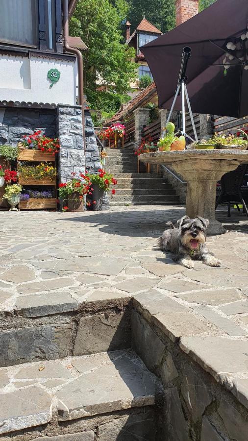 Pensiunea Luna Buşteni Exterior foto