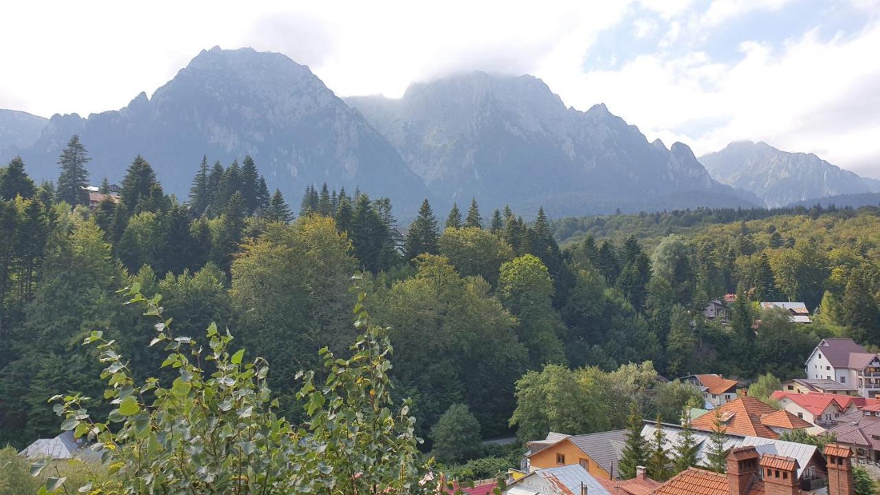 Pensiunea Luna Buşteni Exterior foto